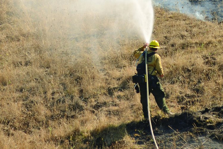 Firefighters